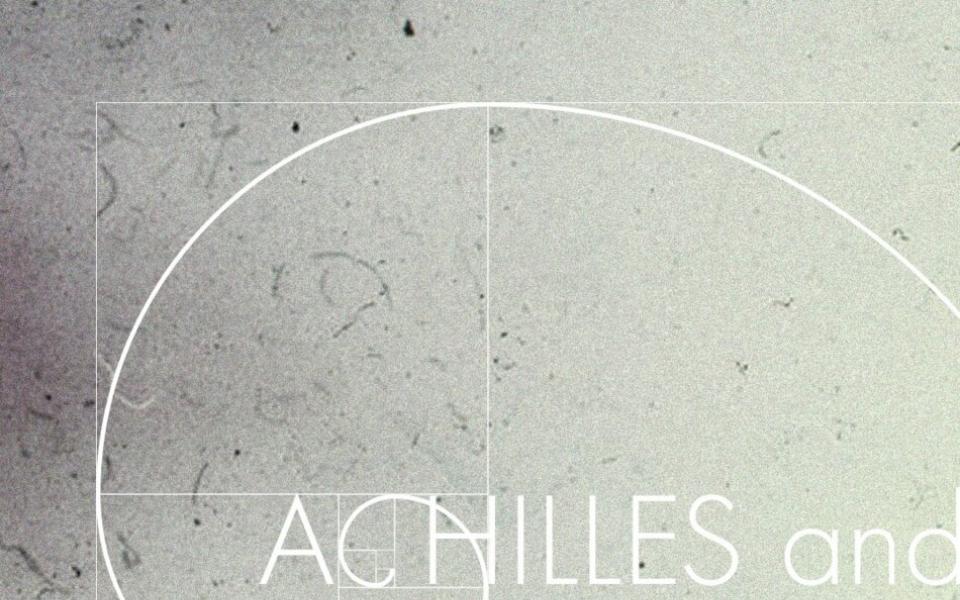 Achilles and Tortoise Logo