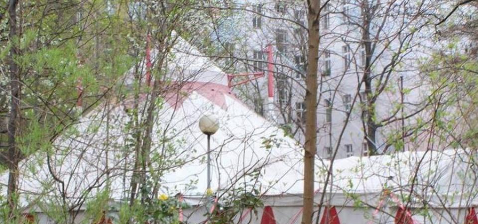Foto: Circus Schatzinsel Foto: Circus Schatzinsel